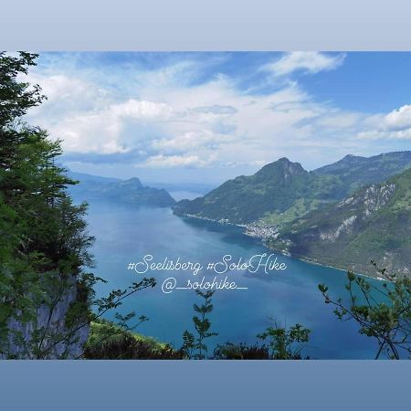Schoene Ferienwohnung In Traumlage Fewo Solohike Seelisberg Exteriér fotografie