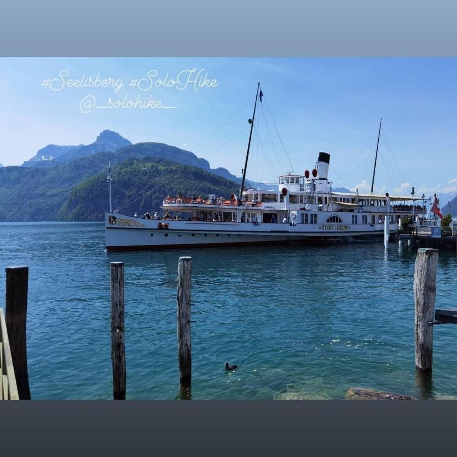 Schoene Ferienwohnung In Traumlage Fewo Solohike Seelisberg Exteriér fotografie