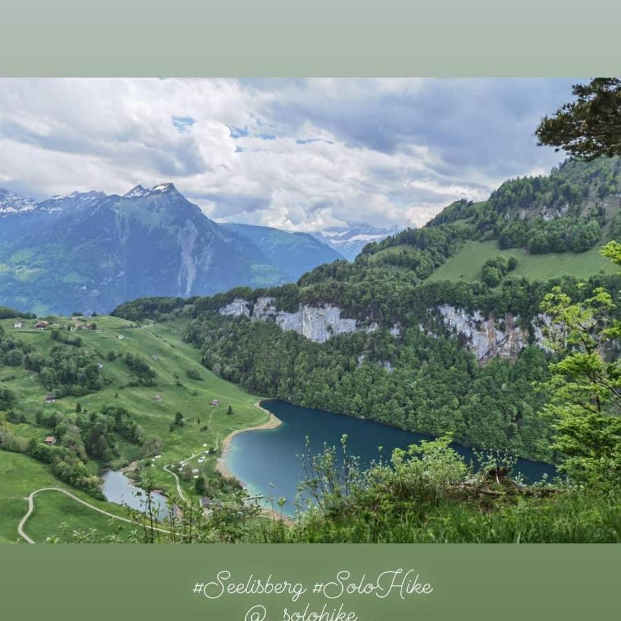 Schoene Ferienwohnung In Traumlage Fewo Solohike Seelisberg Exteriér fotografie