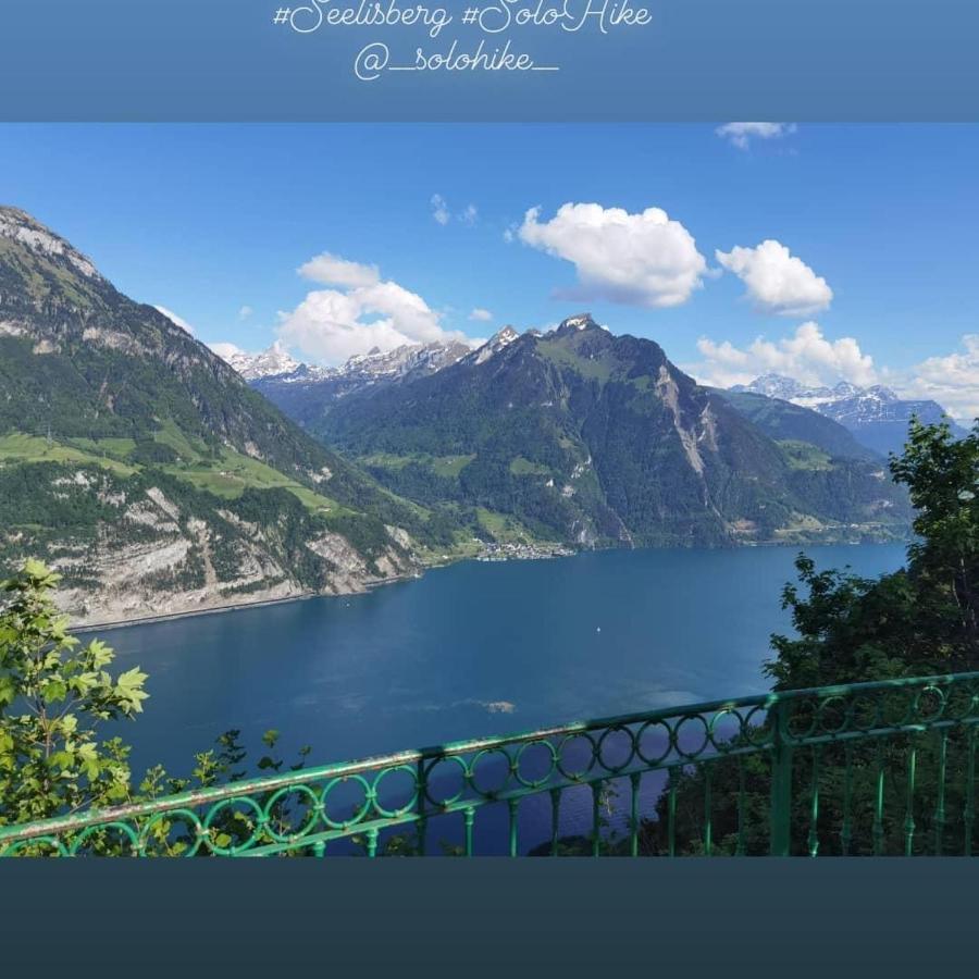 Schoene Ferienwohnung In Traumlage Fewo Solohike Seelisberg Exteriér fotografie