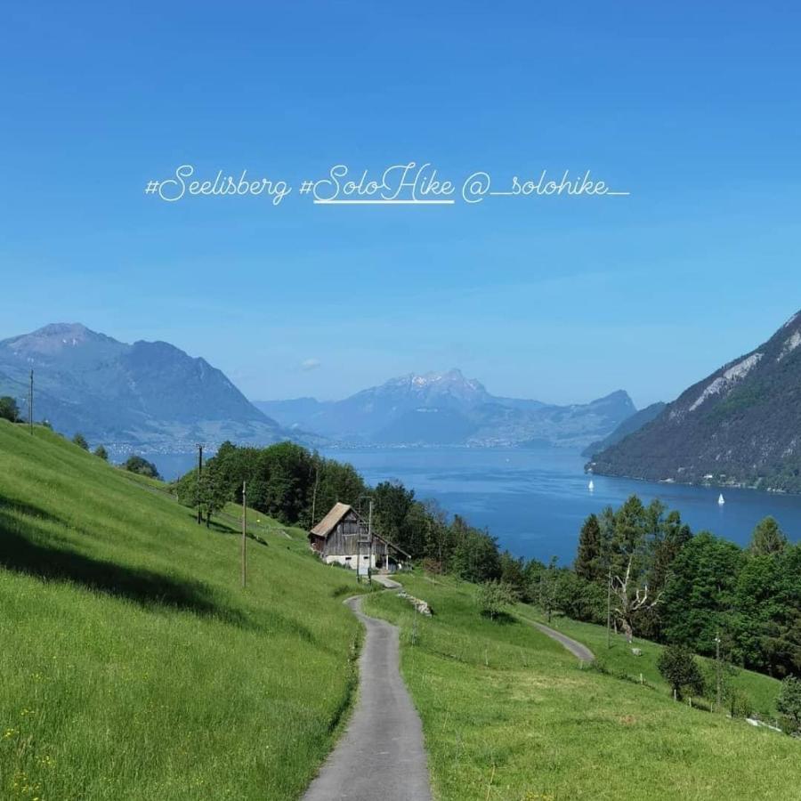 Schoene Ferienwohnung In Traumlage Fewo Solohike Seelisberg Exteriér fotografie