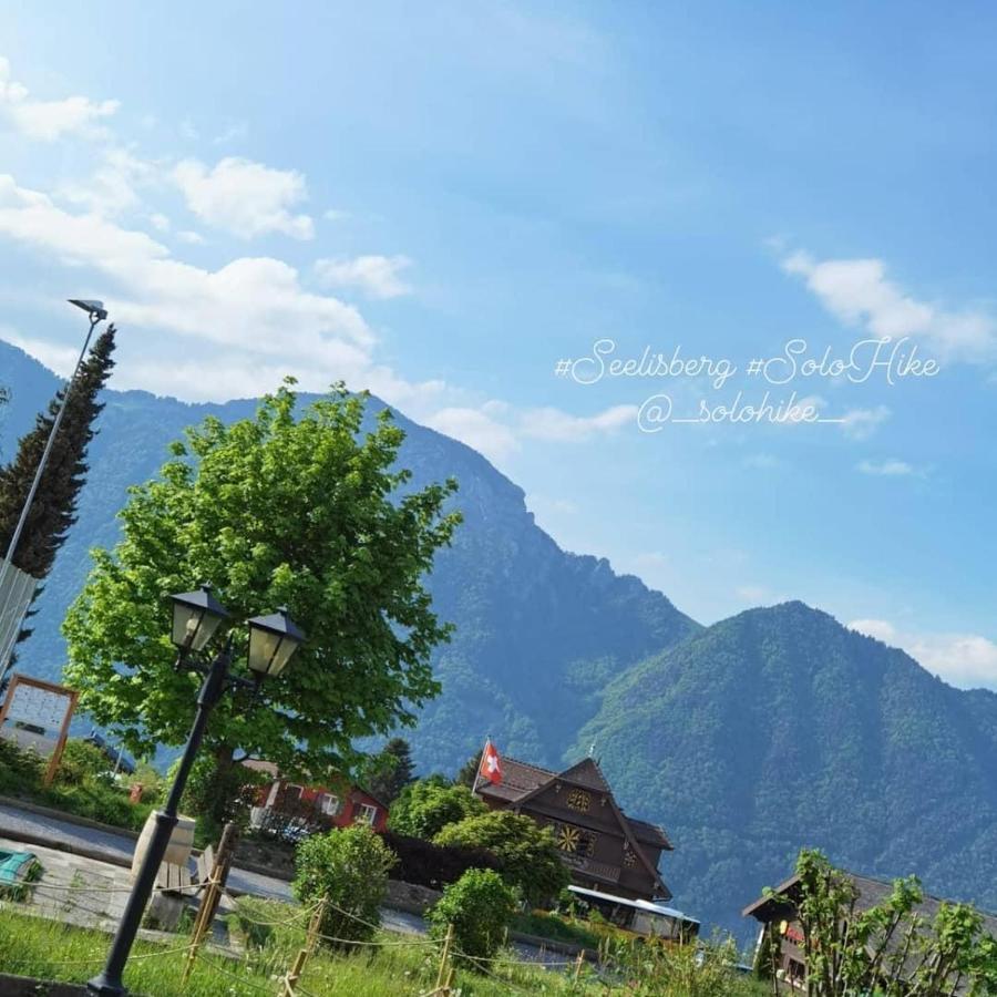 Schoene Ferienwohnung In Traumlage Fewo Solohike Seelisberg Exteriér fotografie