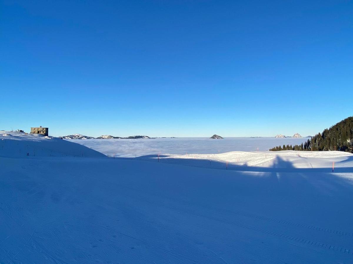 Schoene Ferienwohnung In Traumlage Fewo Solohike Seelisberg Exteriér fotografie